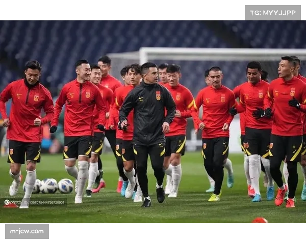 非洲区预选赛落幕,各队备战进入最后阶段 非洲区预选赛落幕,各队备战进入最后阶段